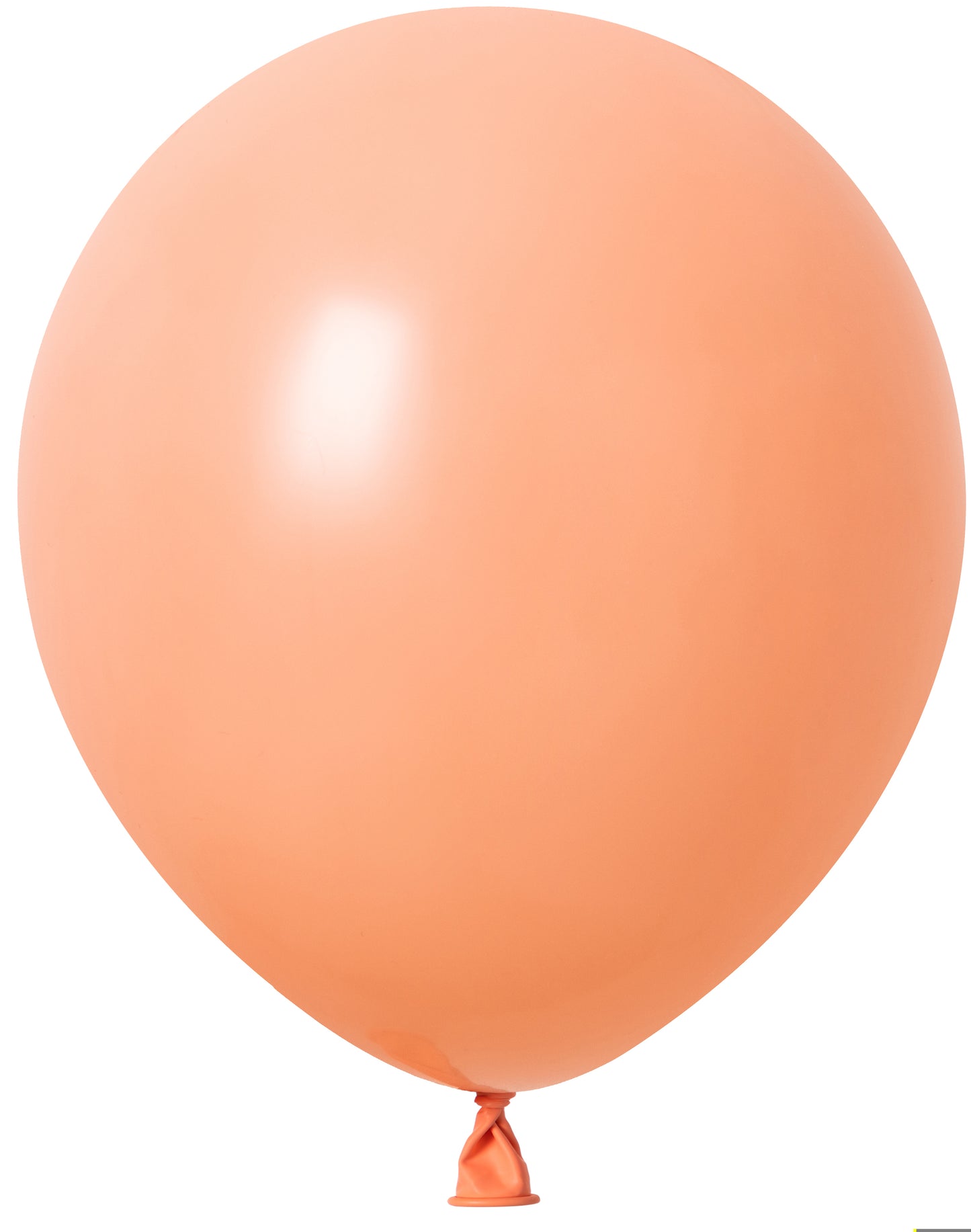 Gamme Standard 12 pouces